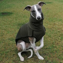Load image into Gallery viewer, whippet jumpet base layer in green