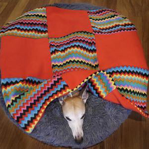 greyhound whippet gifts, perfect presents for a dog. the trendy whippet. double thick fleece