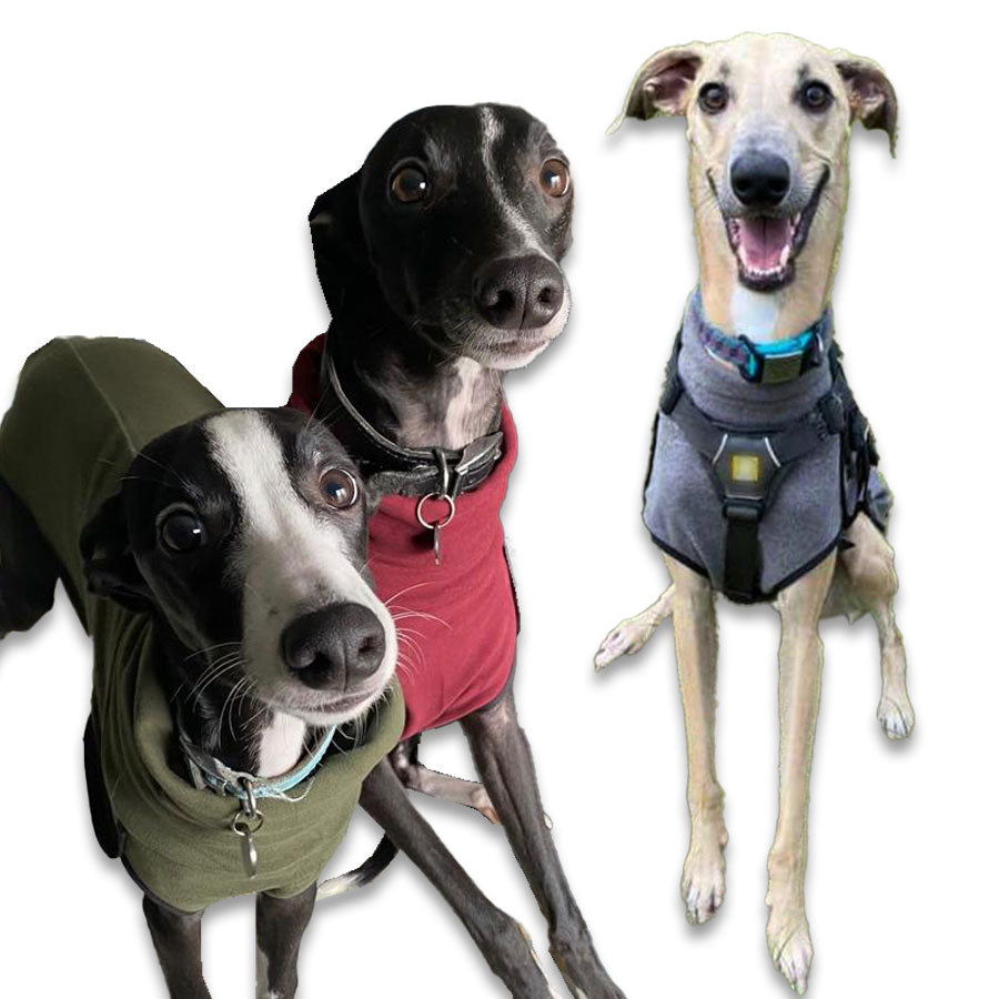 Fleece Sighthound Base Layer Coat with Underbelly and Snood