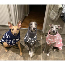 Load image into Gallery viewer, tri-paw dog with fleece jumper tripaw whippet greyhound
