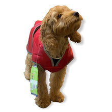 Load image into Gallery viewer, cockapoo coat