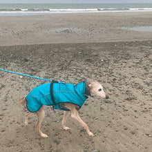 Load image into Gallery viewer, best lurcher dog coat for use with harness