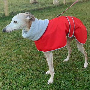Sighthound coat with harness hole opening