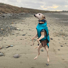 Load image into Gallery viewer, whippet coat with fleece-lined under belly protection for extra warmth
