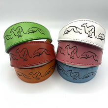 Load image into Gallery viewer, what is the best greyhound collar uk