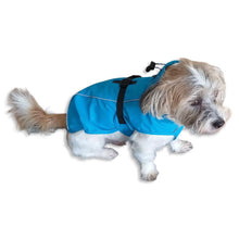 Load image into Gallery viewer, Benji wearing vimy lightweight raincoat