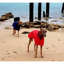 Load image into Gallery viewer, Red waterproof whippet coat with harness hole. Custom fit, design your own coat. 

