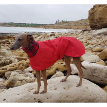 Load image into Gallery viewer, fleece lined waterproof whippet coat in red with high-collar and velcro
