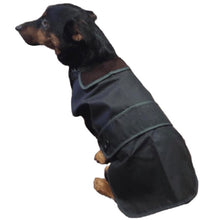 Load image into Gallery viewer, Lancashire Heeler dog coats in waxed green hunter