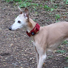 Load image into Gallery viewer, greyhound collars