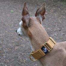 Load image into Gallery viewer, sighthound martingale collar
