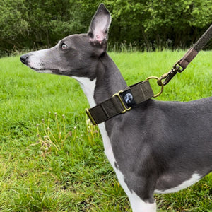 Martingale Collars - Soft with Brass Fittings