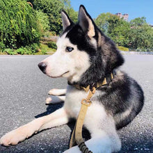 Load image into Gallery viewer, Military-Style Tactical Dog Collars with Close-Control Handle