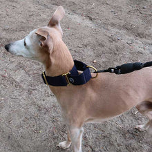 Load image into Gallery viewer, Whippet martingale collar
