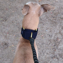 Load image into Gallery viewer, pull resistant dog collar