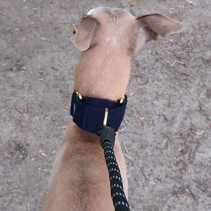pull resistant dog collar