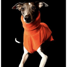 Load image into Gallery viewer, greyhound snook sweater fleece jumper
