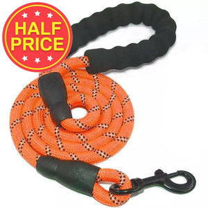 orange rope lead for dogs