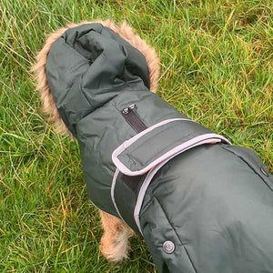 traditional parka coats for dogs. winter dog coat
