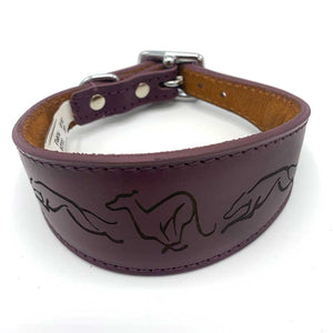 greyhound collar uk