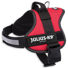 Load image into Gallery viewer, 100% Genuine Julius K9 dog harness
