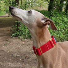 Load image into Gallery viewer, how to stop your whippet from pulling
