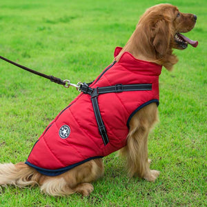 red dog coat with harness built in