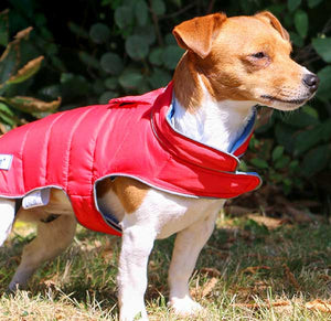 Two-colour reversible dog coat with harness hole
