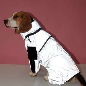 fully reflecting show suits for small dogs. zip up back, ultra safety built in