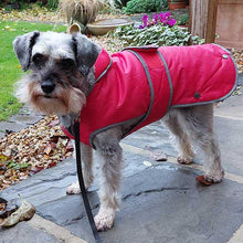 Load image into Gallery viewer, schnauzer wearing storm guard dog coat