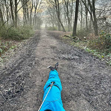 Load image into Gallery viewer, extra warm whippet / greyhound coat with collar