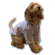 Load image into Gallery viewer, Small Stripy dog jumpers