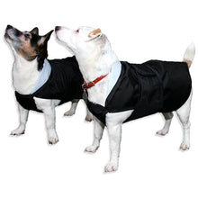 Load image into Gallery viewer, summer lightweight dog coat rain mac with chest protection jack russells
