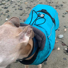 Load image into Gallery viewer, fleece lined hood makes this whippet coat one of the warmest we offer