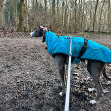 Load image into Gallery viewer, greyhound coat with leg straps and hole for harness to lead