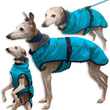 Load image into Gallery viewer, tempest sighthound dog coat. suitable for greyhound or whippets
