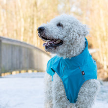 Load image into Gallery viewer, blue dog coat for summer or winter with reflective for safety