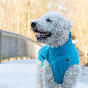 blue dog coat for summer or winter with reflective for safety