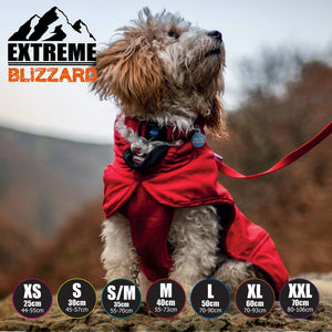 dog coat for extreme weather. With harness hole, reflective, double waterproof layers
