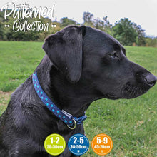 Load image into Gallery viewer, Navy polka dot dog collar on black labrador
