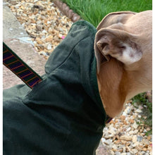 Load image into Gallery viewer, close up view of the hole in this green barbour hunter waxed greyhound dog coat jacket