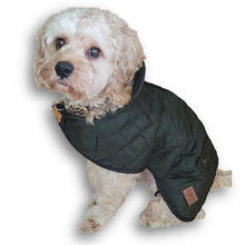Load image into Gallery viewer, green country dog coat with harness hole
