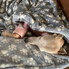 Load image into Gallery viewer, whippet blanket - super soft with paw design
