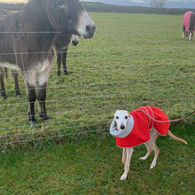 Load image into Gallery viewer, best whippet coat for use with a harness underneath