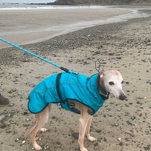 Load image into Gallery viewer, lurcher dog coat with built in harness hole

