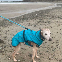Load image into Gallery viewer, lurcher dog coat with built in harness hole