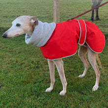 Load image into Gallery viewer, Red whippet coat with harness hole opening for lead
