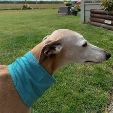 Load image into Gallery viewer, Whippet cooling bandana