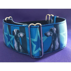 Martingale Collar - Sighthound Portrait - 2in Wide
