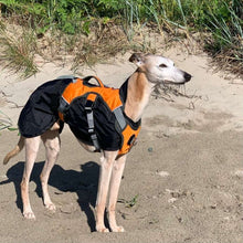 Load image into Gallery viewer, sighthound harness on top of a summer whippet coat
